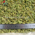 Wholesale New Crop Dried Raisins Preserved Raisins Price Green Raisins